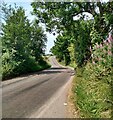 NS8452 : Road near Bowridge Bridge by Jim Smillie