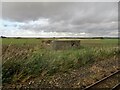 View from a Romney-Dungeness train - Old Pillbox near St. Mary