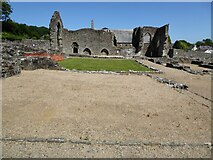SN1645 : St Dogmaels Abbey by Philip Halling