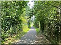 The Hatches - footpath to Frimley Green