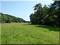 Riverside meadow beside the Afon Ceiriog near Chirk