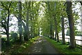 The avenue to Lindridge Park