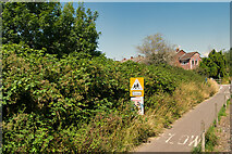ST6771 : Bristol and Bath Railway Path near St Anne's School, Oldland Common by David Dixon