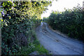 Road to Little Rhos Farm