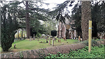 SO7119 : St. John's churchyard, 5 by Jonathan Billinger