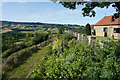 The path by Manor Farm Cottages