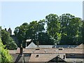 Dunster roofscape