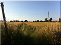 Field path, Goodyers End