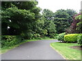 Path in Ravenscraig Park