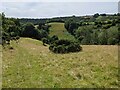 Fields and woodland near Venn