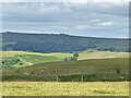 Castle Ring Settlement near Stitt Hill