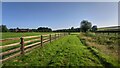 Paddock next to Chasemore Farm