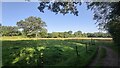 Footpath near Oaken Wood