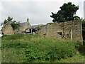 Ruin at Lealholmeside