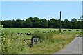 NY0790 : Cattle grazing near Greenbeck by Jim Barton