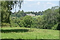 Valley view towards Polesden Lacey