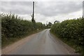 Hedgerows and road