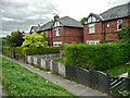 Houses and hedges, Chapel Lane, Barwick-in-Elmet