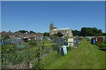 TA1767 : Old Town Allotments by DS Pugh