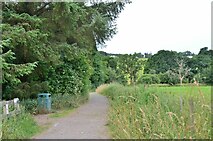 NT0805 : Path to the riverside, Moffat by Jim Barton