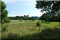 Grassland beside Brundholme Road