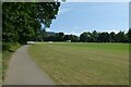 Cricket pitch in Fitz Park