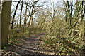 Footpath, Ardenrun Shaw