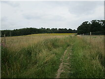 SK4967 : Footpath near Roseland Wood by Jonathan Thacker