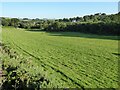 A field at Telgarreg