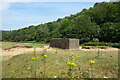 Concrete Building in the Sand