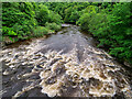 River Swale near Hudswell