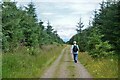 NY0696 : Annandale Way, Edwardsrig Plantation by Jim Barton