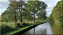 SJ9922 : Trent and Mersey Canal near Great Haywood, Staffordshire by Roger  D Kidd