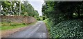 SU1625 : Road towards Elm Tree farm, Nunton by Helen Steed