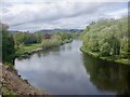 River Tweed, Melrose