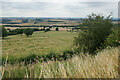 Fields below Palterton