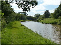 SJ5858 : Shropshire Union Canal near Bunbury by Mat Fascione
