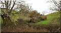 SX8159 : Field boundary by Longmarsh by Derek Harper