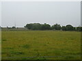 Grazing and woodland, Droop Hill