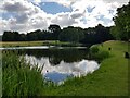 Harvington moat overflow