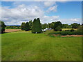 Many vans across a field