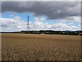 Pylon in a field from The Monarch