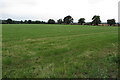 Farmland by the A44