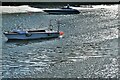 Cardigan: Two boats on the River Teifi