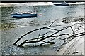 Cardigan: Two boats on the River Teifi