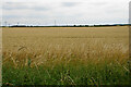 Flat farmland near Hillstown