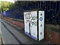 Painted junction box, Burdett Terrace