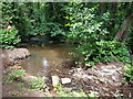 The Hoo Brook under Barnett Hill