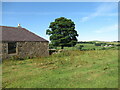 Farm building and tree at Halfmerkland