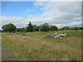 Site of former Douglas West railway station